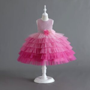 Girl's party dress